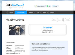 Basic Memorial Screenshot